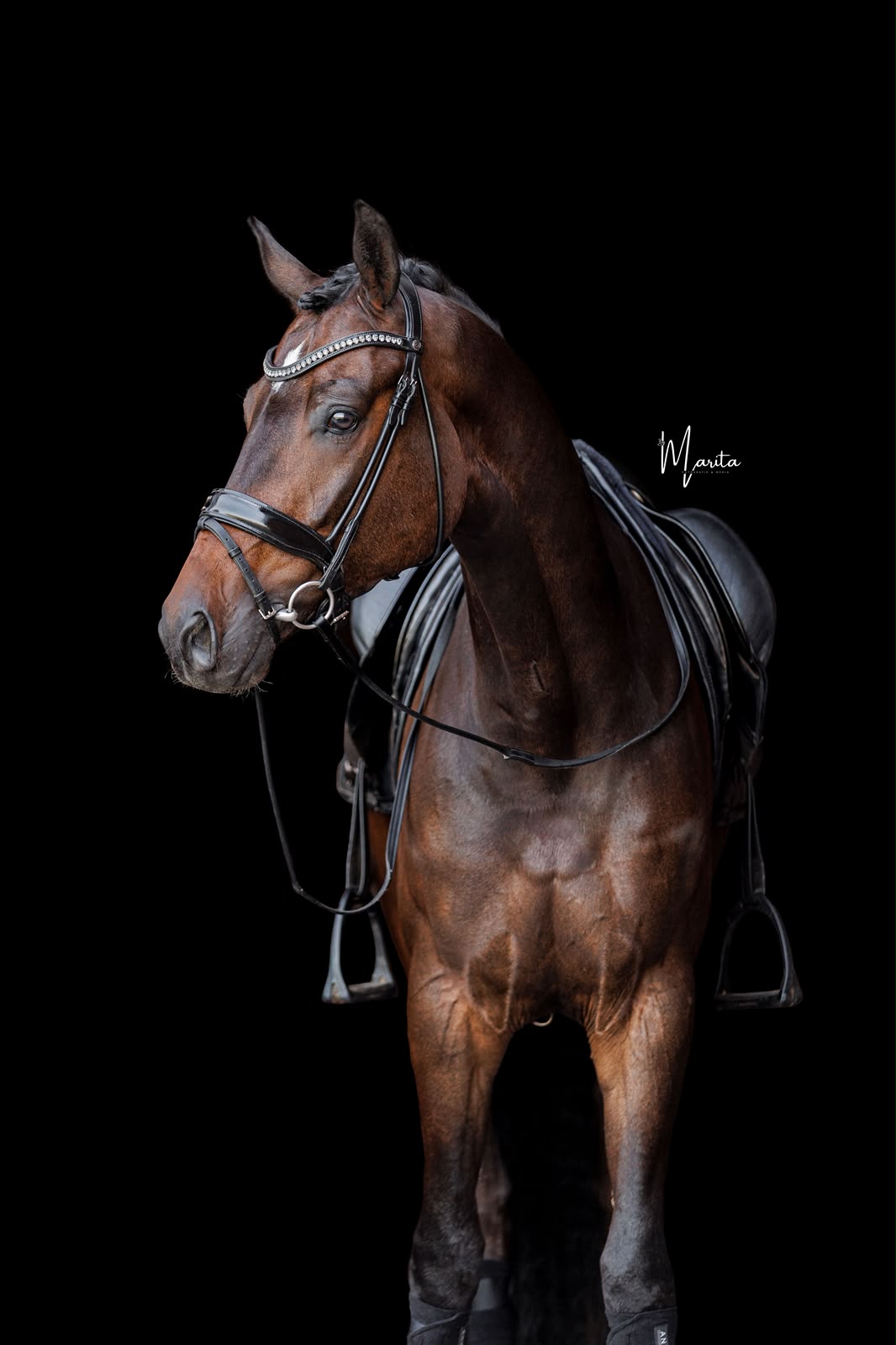 Figment EQ studio portrait