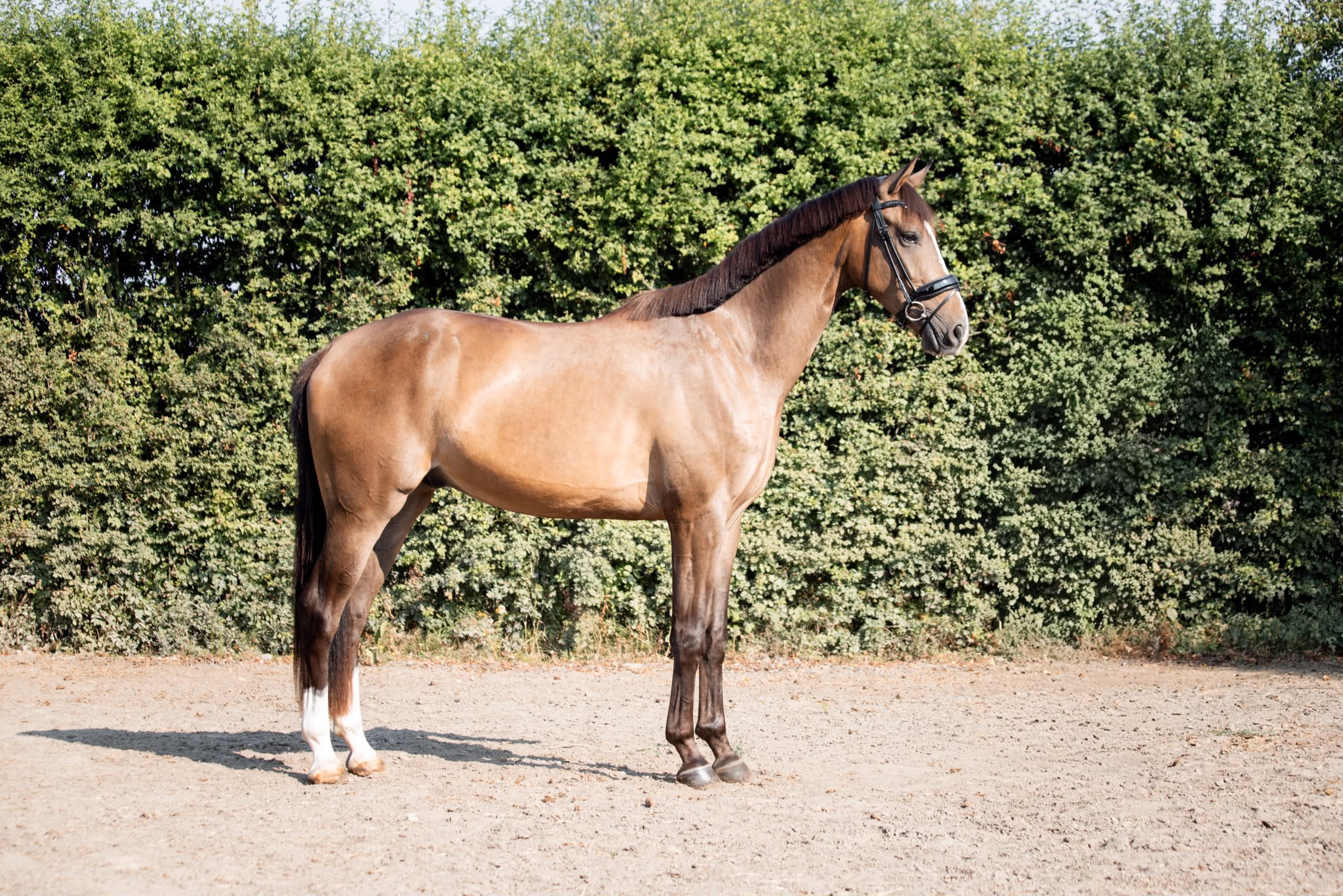 Total Extreme standing, full profile